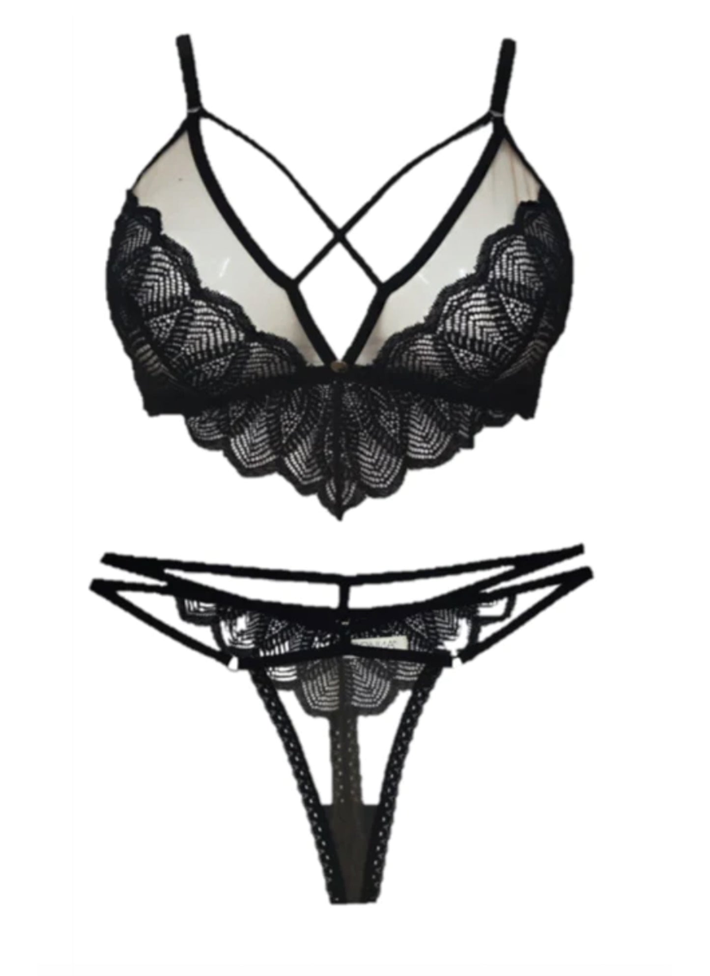 SET OLIMPO